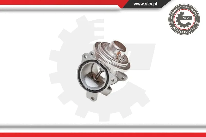 EGR Valve
