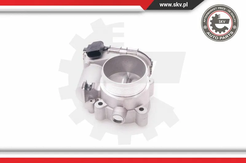 Throttle Body