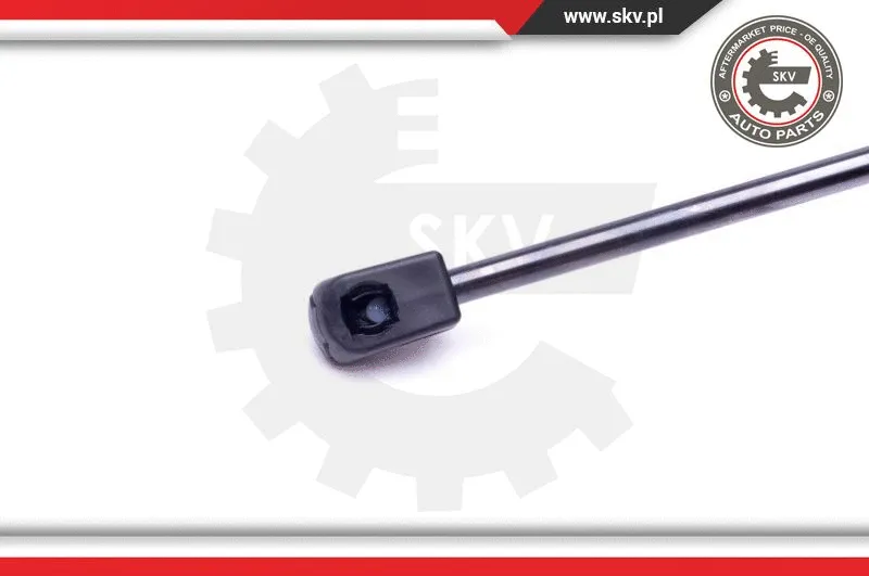 Gas Spring, boot/cargo area