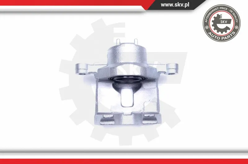 Brake Caliper (42SKV902)