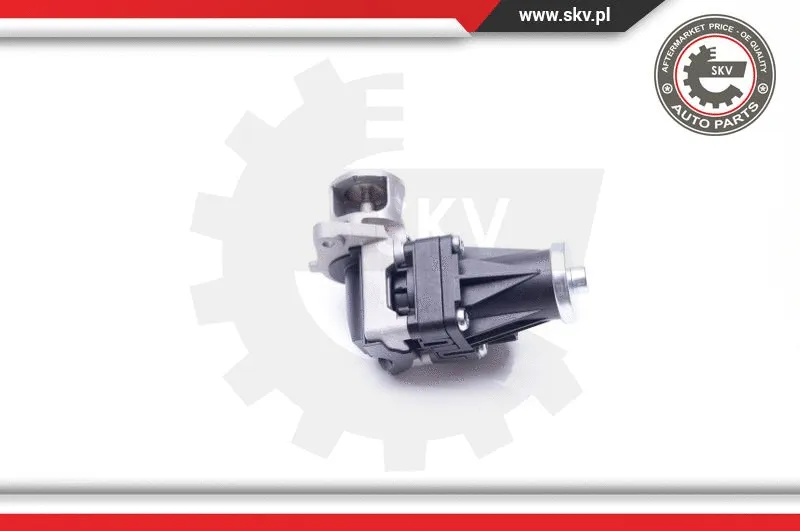EGR Valve