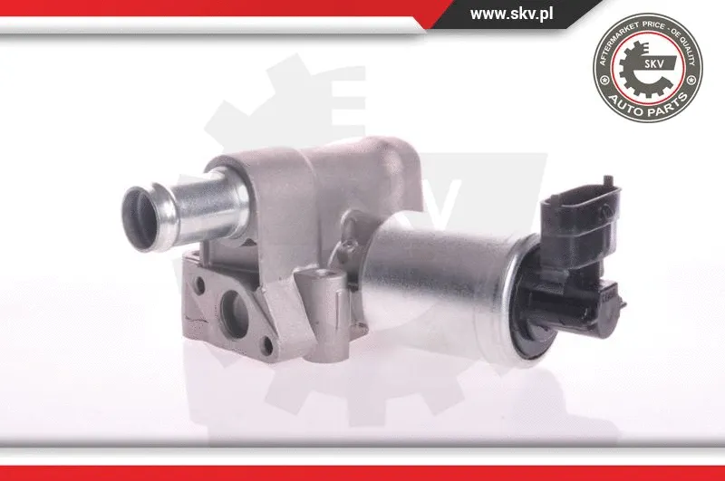 EGR Valve