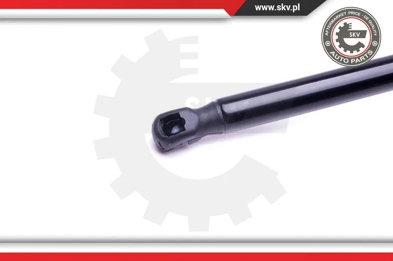 Gas Spring, boot/cargo area