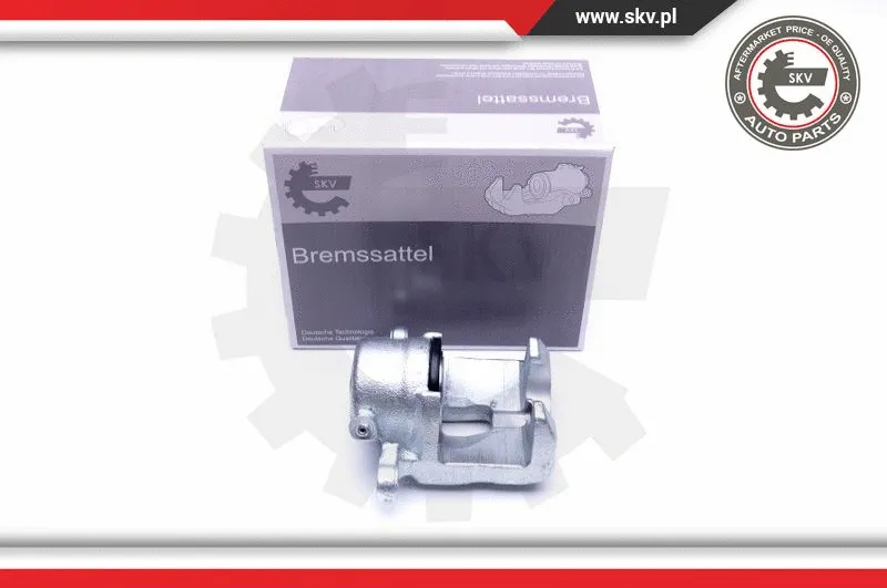 Brake Caliper (44SKV022)