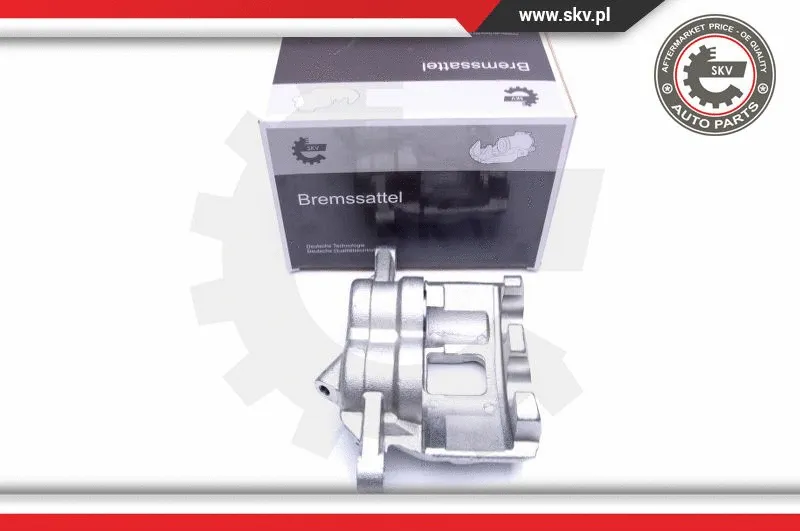 Brake Caliper (44SKV881)