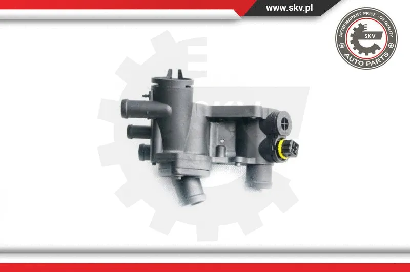 Thermostat, coolant