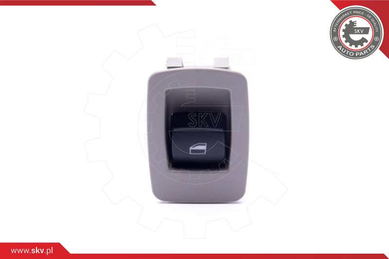 Switch, window regulator