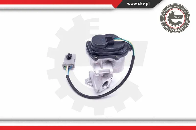 EGR Valve
