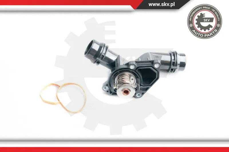 Thermostat, coolant