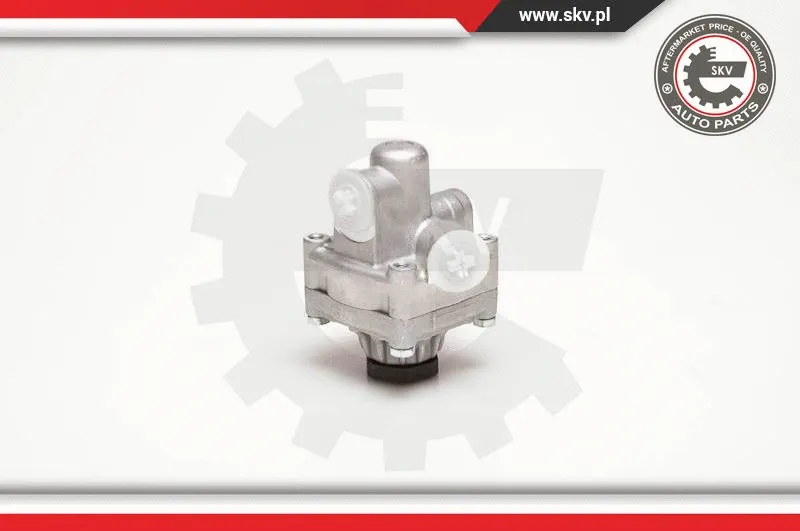 Hydraulic Pump, steering (10SKV017)