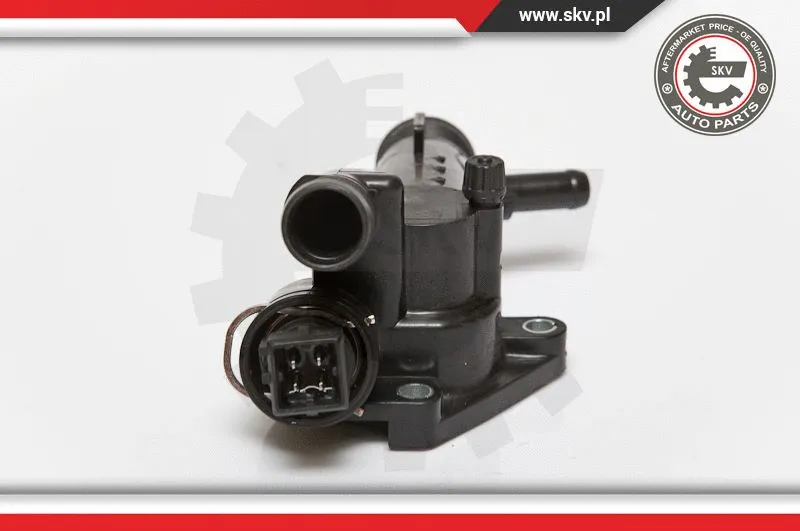 Thermostat, coolant