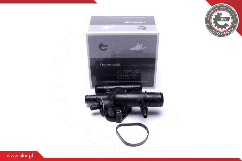 Thermostat, coolant (20SKV204)