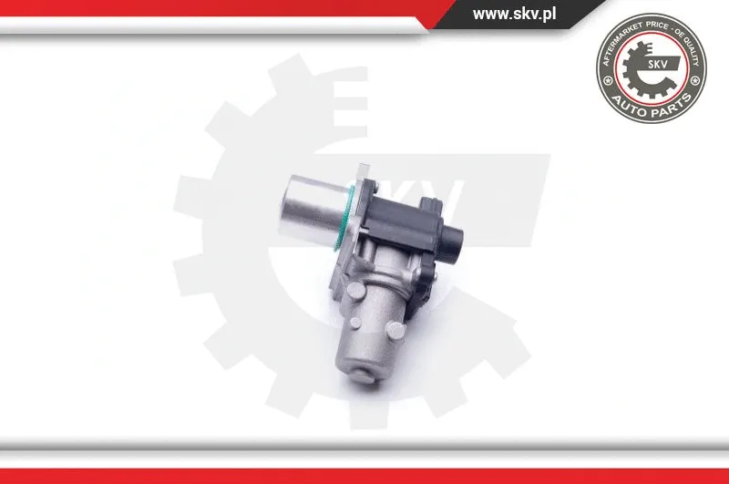 EGR Valve