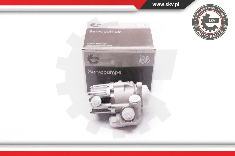 Hydraulic Pump, steering (1SKV0002)