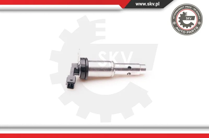 Control Valve, camshaft adjustment (39SKV012)