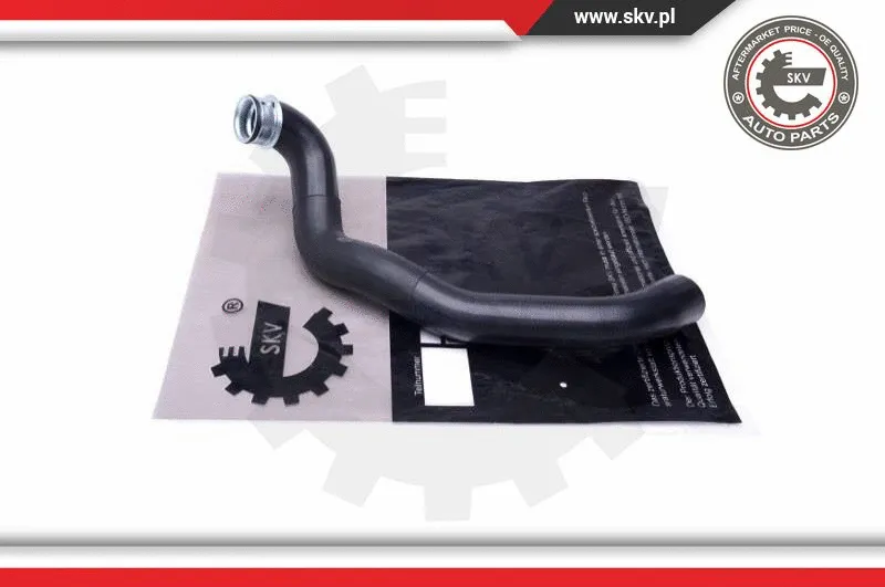 Radiator Hose (43SKV892)