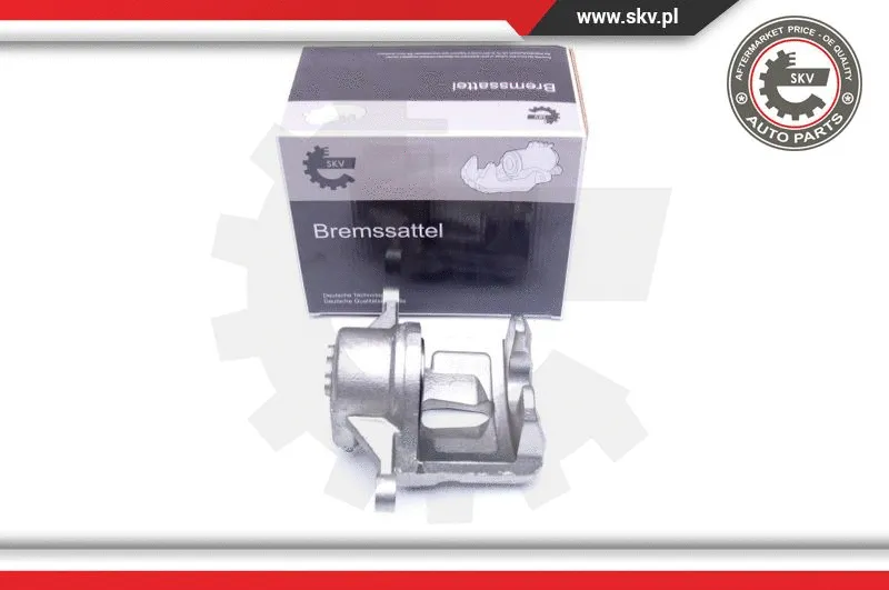 Brake Caliper (42SKV482)