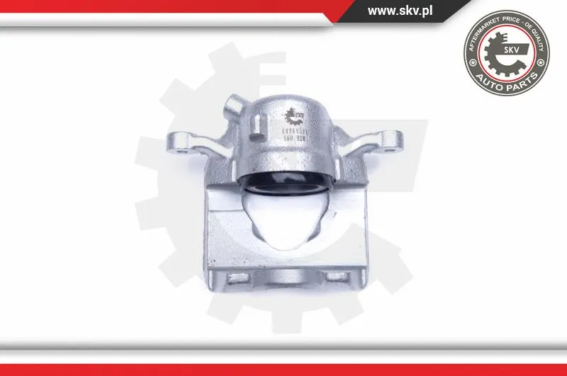 Brake Caliper (44SKV581)