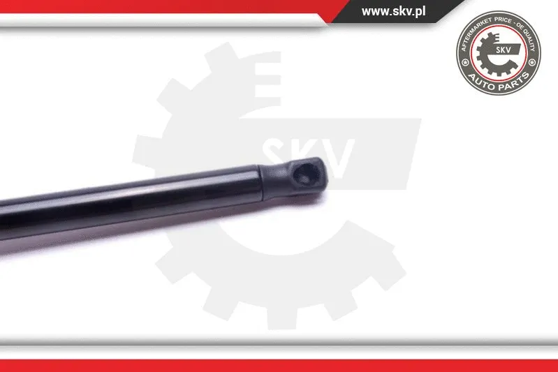 Gas Spring, boot/cargo area