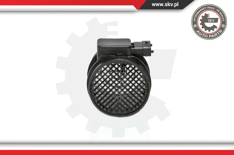 Mass Air Flow Sensor