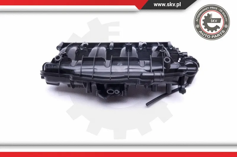 Intake Manifold Module