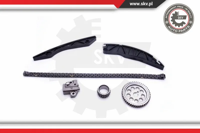 Timing Chain Kit