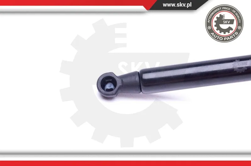 Gas Spring, boot/cargo area