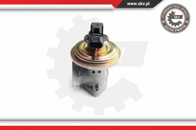 EGR Valve