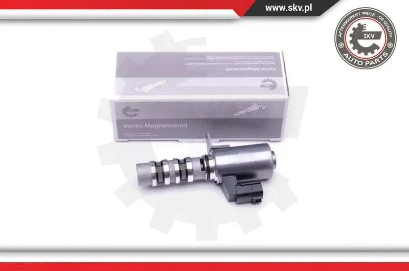 Control Valve, camshaft adjustment (39SKV051)