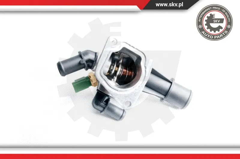 Thermostat, coolant
