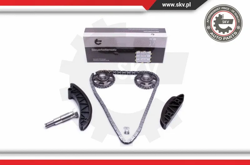 Timing Chain Kit (21SKV171)