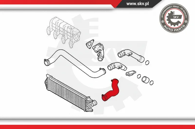 Charge Air Hose