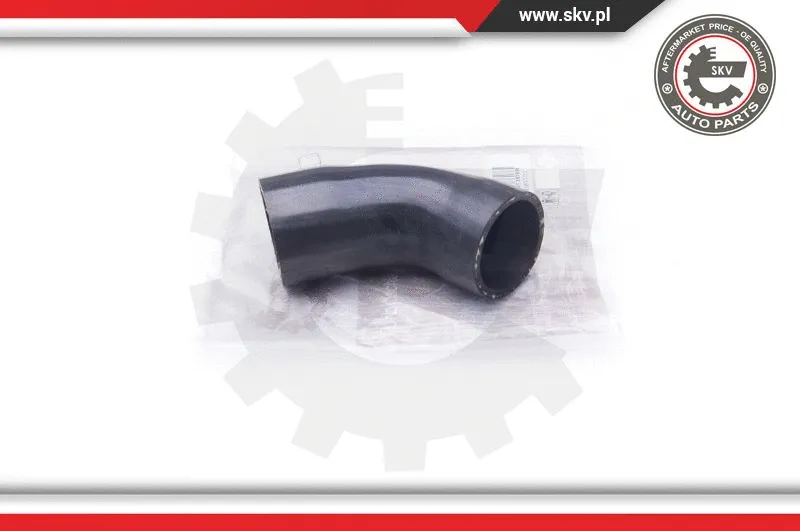 Charge Air Hose (24SKV733)