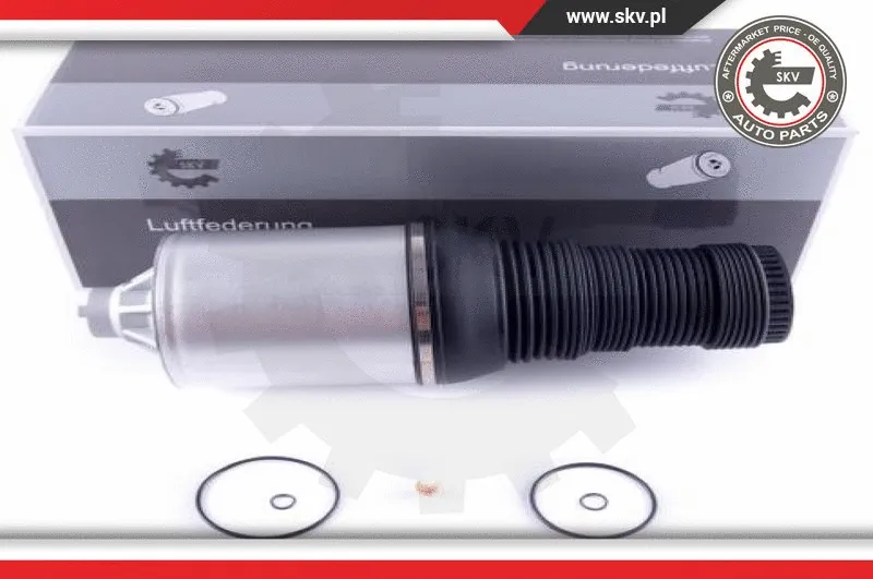 Air Spring, suspension (58SKV051)
