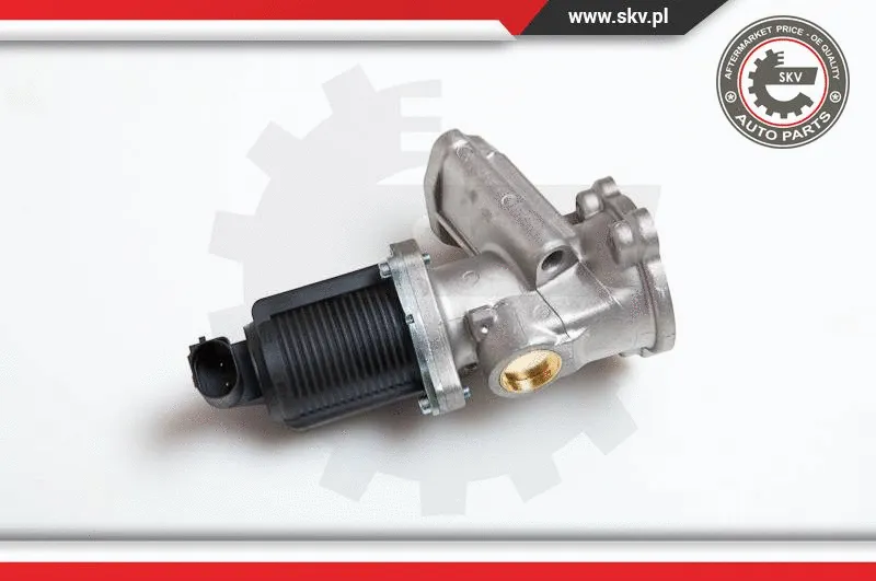 EGR Valve