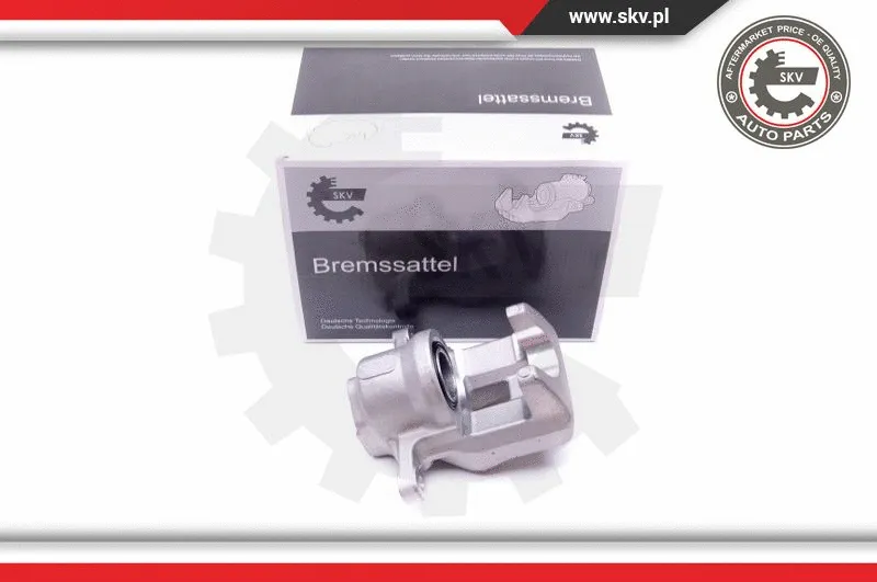 Brake Caliper (45SKV813)