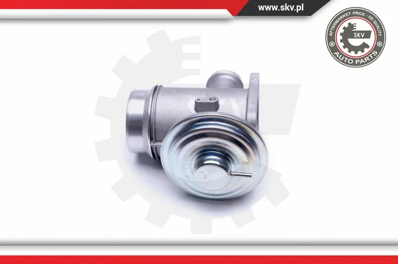 EGR Valve (14SKV176)