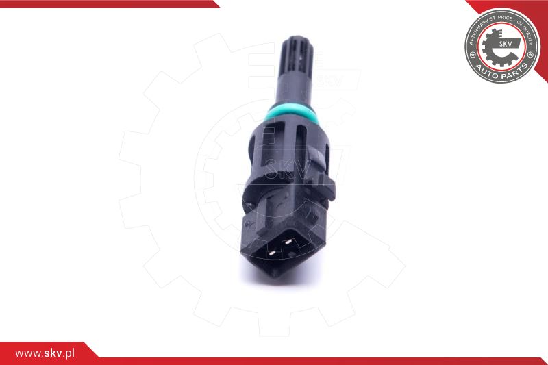 Sensor, intake air temperature