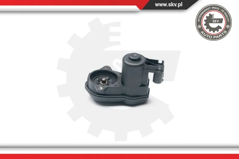 Control Element, parking brake caliper