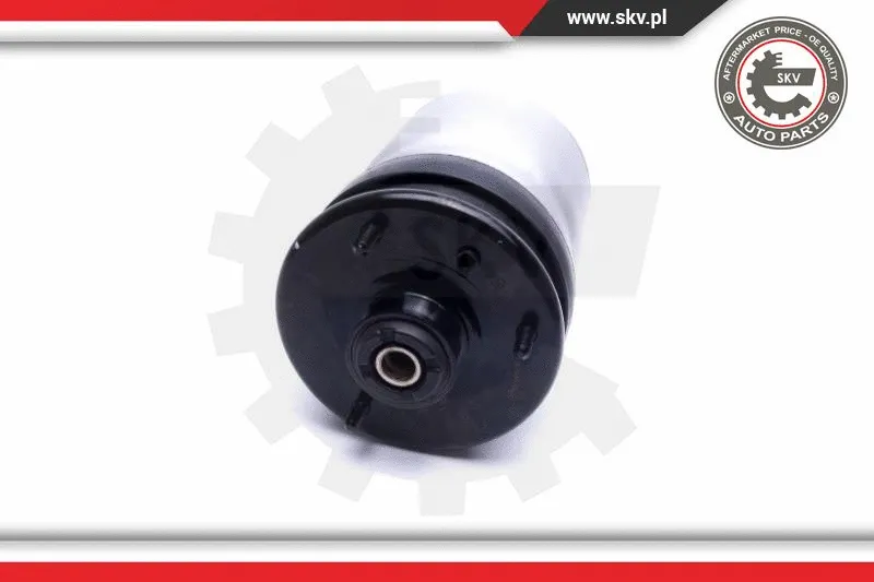 Air Suspension Strut