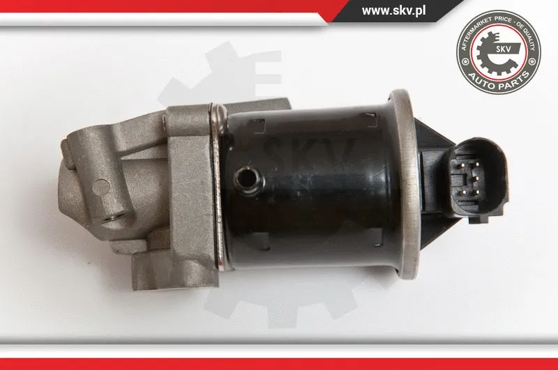 EGR Valve