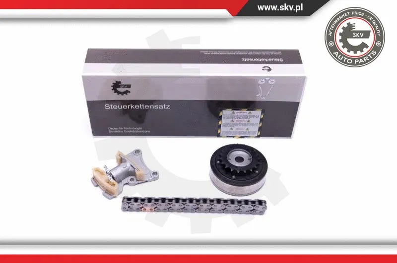 Timing Chain Kit (21SKV115)
