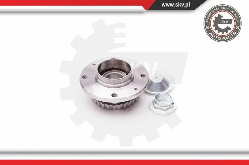 Wheel Bearing Kit