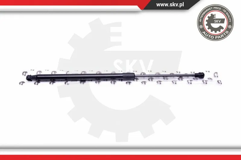 Gas Spring, boot/cargo area