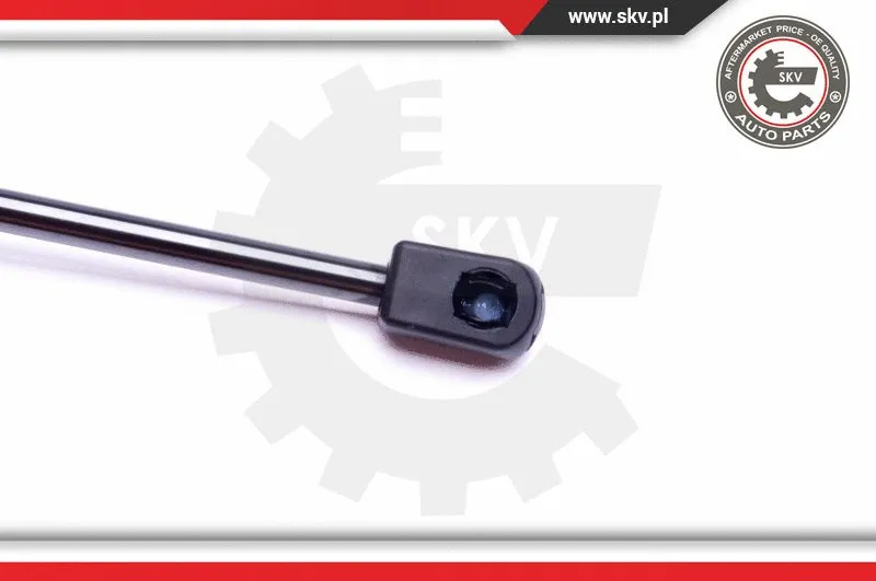 Gas Spring, boot/cargo area