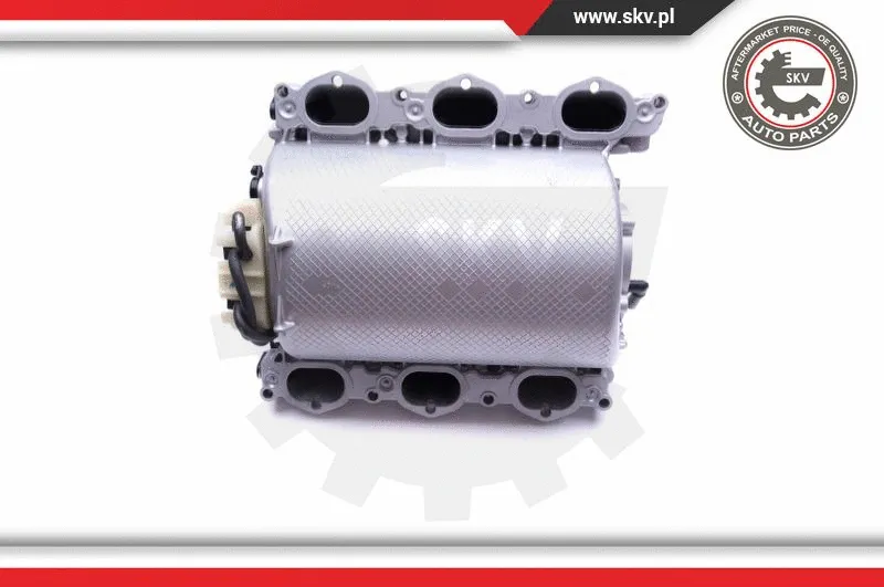 Intake Manifold Module