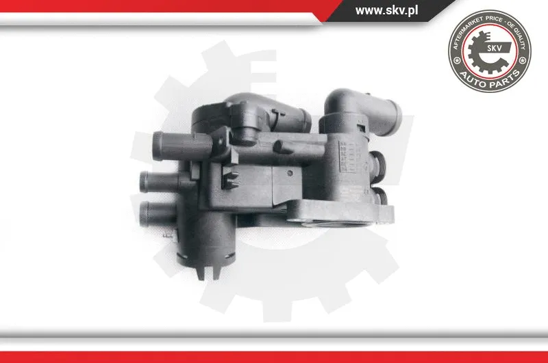 Thermostat, coolant