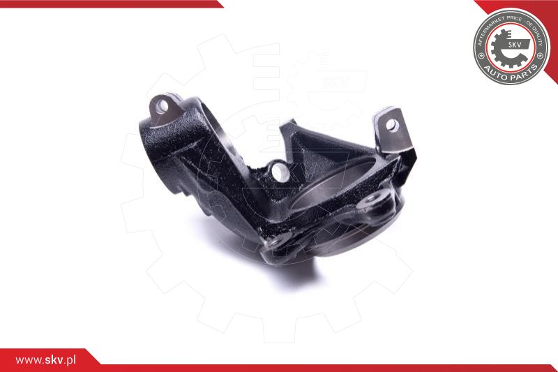 Steering Knuckle, wheel suspension