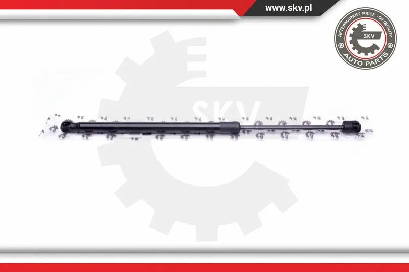 Gas Spring, boot/cargo area