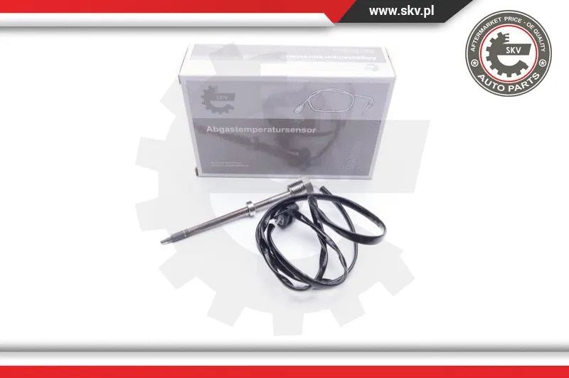 Sensor, exhaust gas temperature (30SKV092)